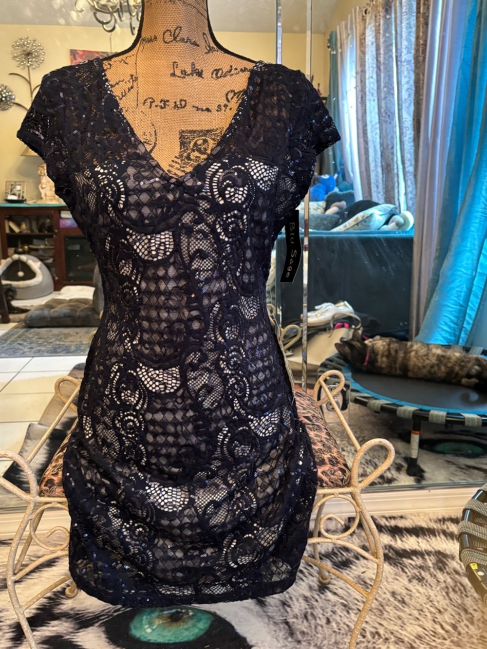 Blu Sage Navy Blue Lace Mini Dress